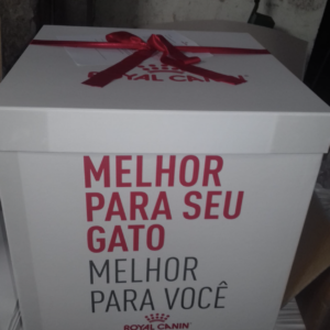 Captura de Tela 2026-01-12 às 14.51.32